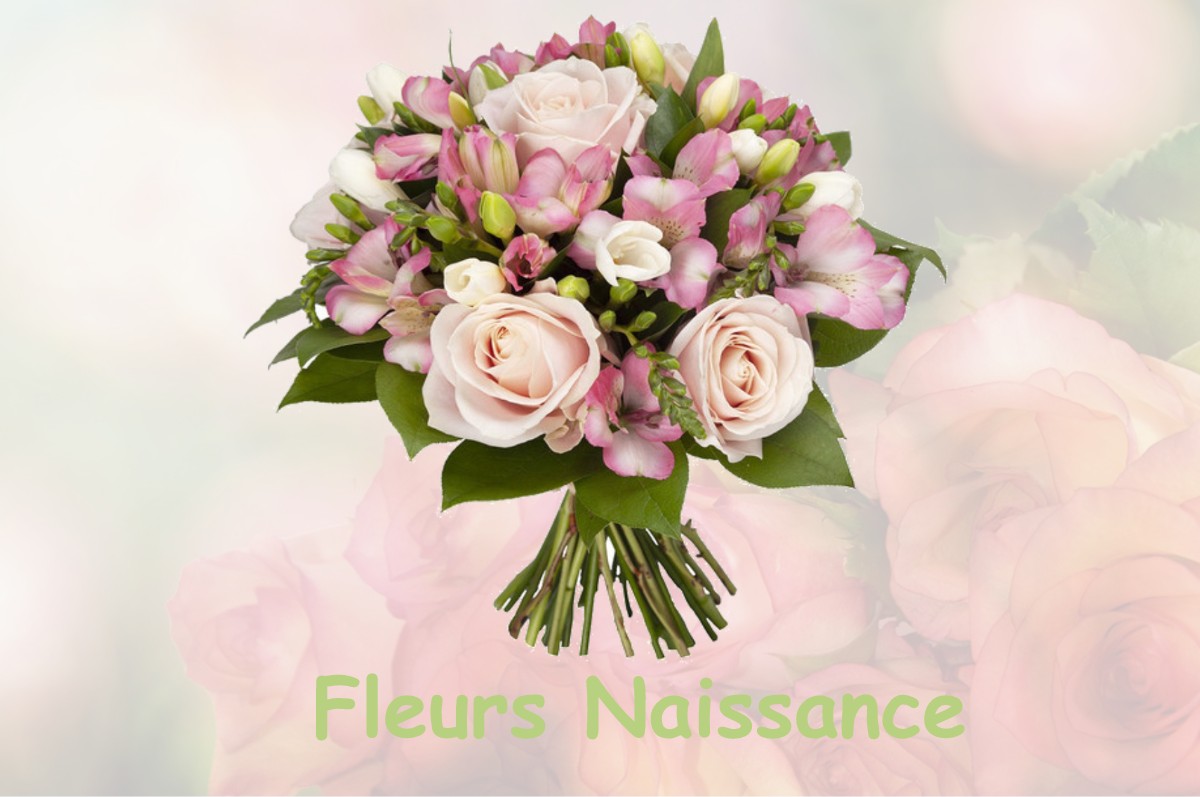 fleurs naissance FONCINE-LE-HAUT