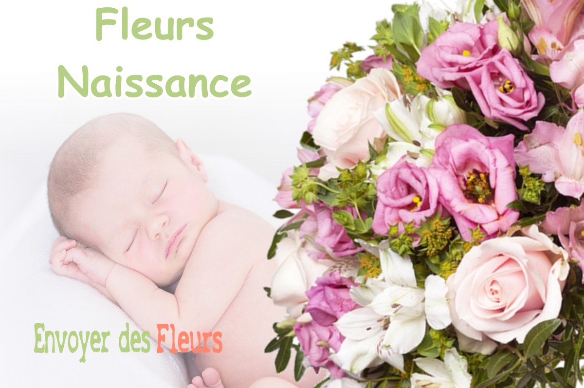 lIVRAISON FLEURS NAISSANCE à FONCINE-LE-HAUT